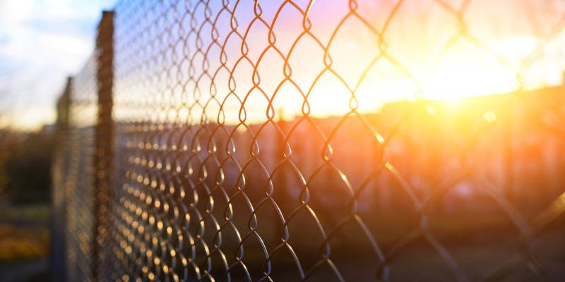 Commercial Yard Services
